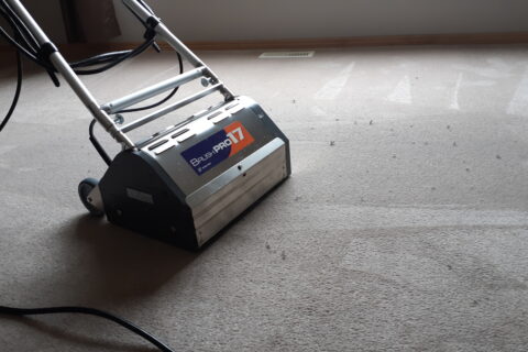 CARPET & UPHOLSTERY CLEANING SERVICES