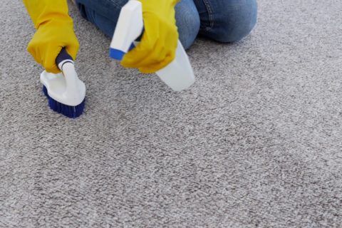 CARPET & UPHOLSTERY CLEANING SERVICES - MGOcleans LTD